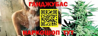 тгк Ставрополь
