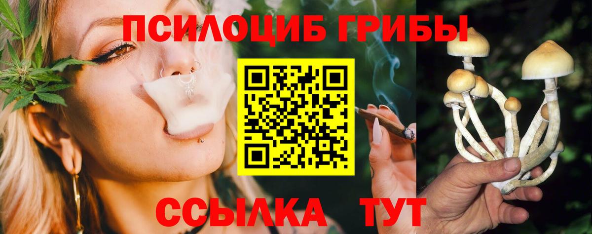 Волжск  Галлюциногенные грибы мицелий  Вход с VPN 