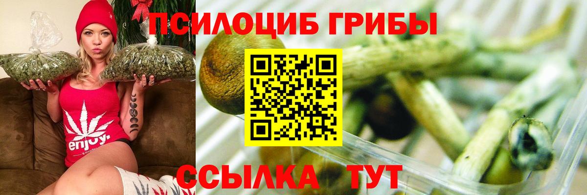 Псилоцибиновые грибы мухоморы Волжск